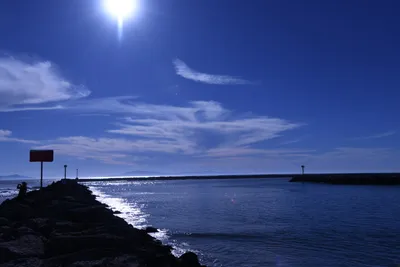 DSC_0850 (Large).JPG